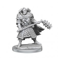 wizkids - D&D Frameworks - Human Fighter Male - 75013