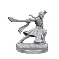 wizkids - D&D Frameworks - Elf Monk Male - 75027