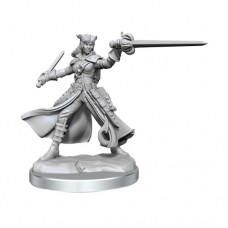 wizkids - D&D Frameworks - Tiefling Rogue Female - 75020