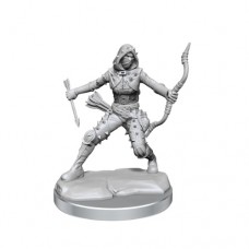 wizkids - D&D Frameworks - Human Rogue Female - 75038