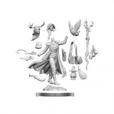 wizkids - D&D Frameworks - Human Druid Female - 75012