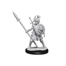 wizkids - D&D Frameworks - Human Fighter Female - 75025