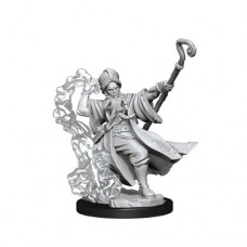 wizkids - D&D Frameworks - Human Wizard Male - 75030