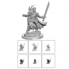 wizkids - D&D Frameworks - Male Half-Elf Ranger - 75077