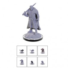 wizkids - D&D - Nolzur's Marvelous Miniatures - Loup Garou - 90674